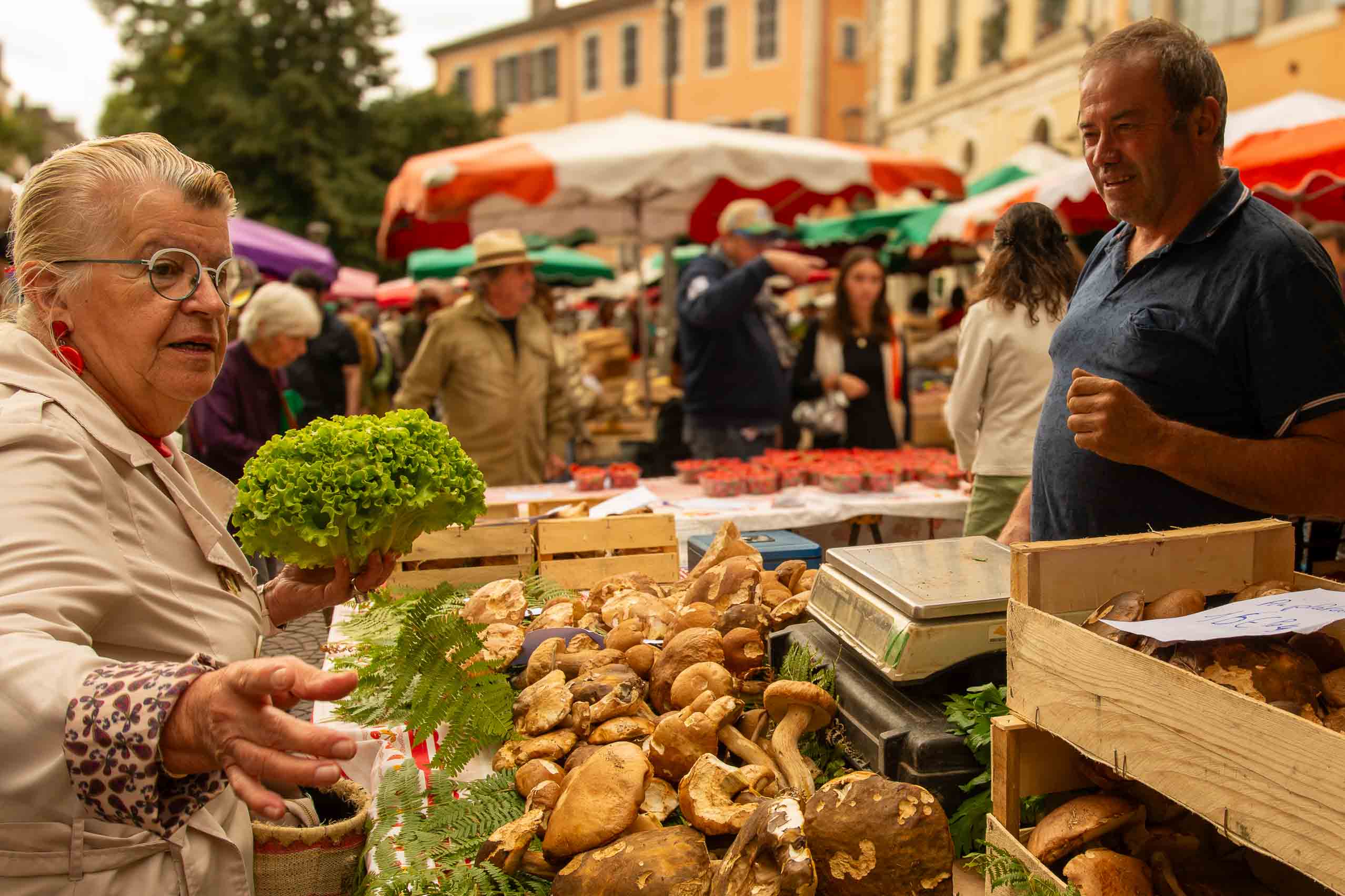 Lokale lekkernijen op de markt op Place Champollion in Cahors
